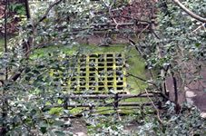 宇和島城の井戸
