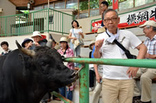 牛を観客席柵まで連れてきてくれて柵越しに、牛と一緒に記念写真を撮って貰えます。
