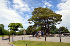 二ノ丸は城内中央の郭で、周囲が530m。利家が入城して本丸には藩主とその家族が住み、二ノ丸広場。