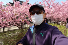 淀の河津桜を背景に自撮り。