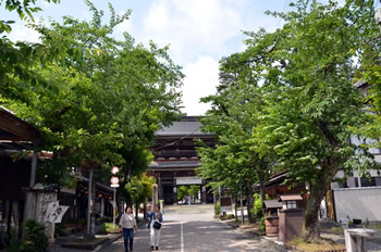 �Q�����猩��m����