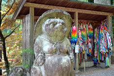 ����ƍ��܂ꂽ�^�k�L�̒u�����Ɛ�H�߂�����ł��܂��B