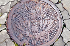 �J�^�N���ɂƂ܂����M�t�`���E��`�����A���J�����̃}���z�[���i�V�E�K��쒬�j