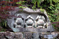 �݂��ʂ��A���킾�ʂ��A�������ʂ��B