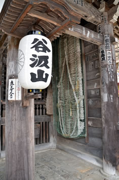 �u�m����v���E�ɂ́A���̊ό�����̕�[�ɂ�鋐��ȁu��炶�v���Ԃ牺�����Ă��܂��B