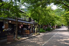 �،����̎Q���ɂ���A�吳�����n�Ƃ̂��H�����B���Ɛ��݂��̒c�q��A�c�y����i�B