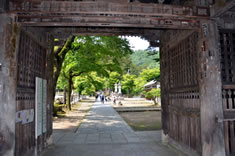 �m�������蔲����B