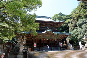 �����䗅�{����