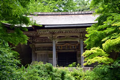 얀