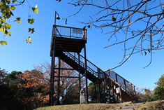 ����6���̓W�]�f�b�L�B