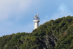 �ԏ��@����