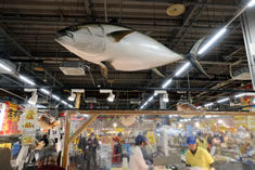 �Ƃ�Ƃ�s��i�}�O����̃V���[��V�N����𖞋i�I�j