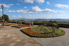 ��a�����ԓ��u�I�m��T�[�r�X�G���A�v