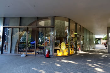 ����F��L�O��