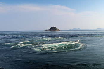 ���E��̉Q���B