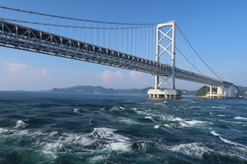 ��C���ɔ���������{�ő��́A�s��Ȓ����B