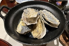 �������y