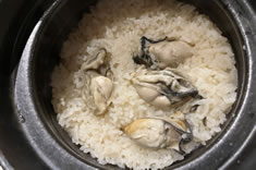 ���y����