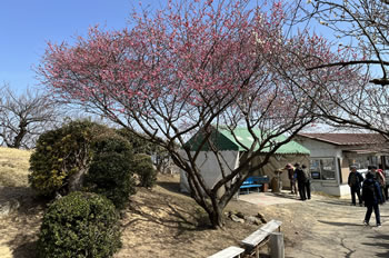 �����R�~��