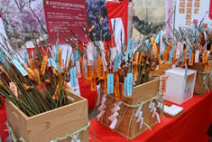 �����Ɖu�a�ގU�̔~�̎}