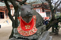 �����v�̂��镏�ŋ��B