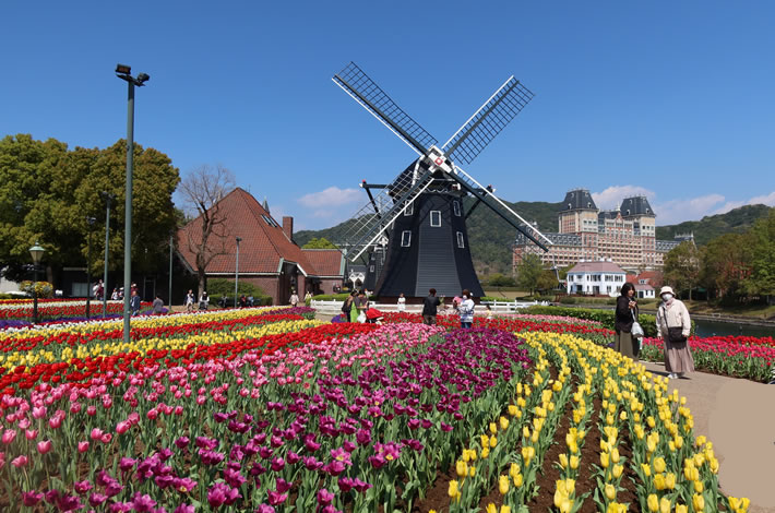 ��ʂɍL����`���[���b�v���ƈٍ�����ӂ�镗��