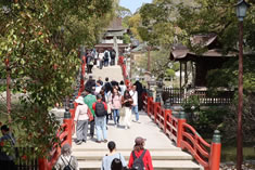 ���ۋ���n���ĐS�g�Ƃ��ɐ��߁A�V�_���܂������������{�a�ւ��i�݂܂��B