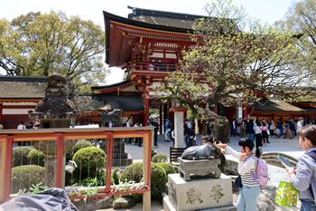 ��ɕ{�V���{����