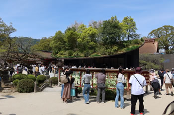 ���a�͌�{�a�O���ɂ���A���i�F��Ȃǂ̎Q�q�E�F��₨�����^���o���܂��B