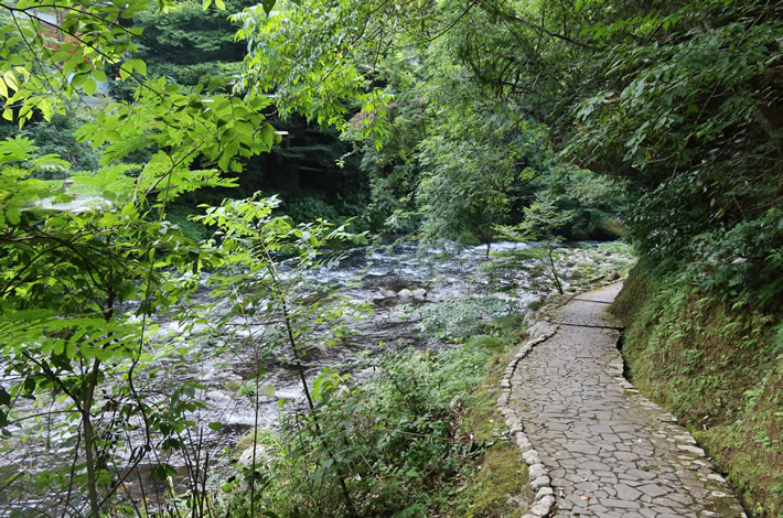 山中温泉「鶴仙渓遊歩道」 山中温泉「鶴仙渓遊歩道」